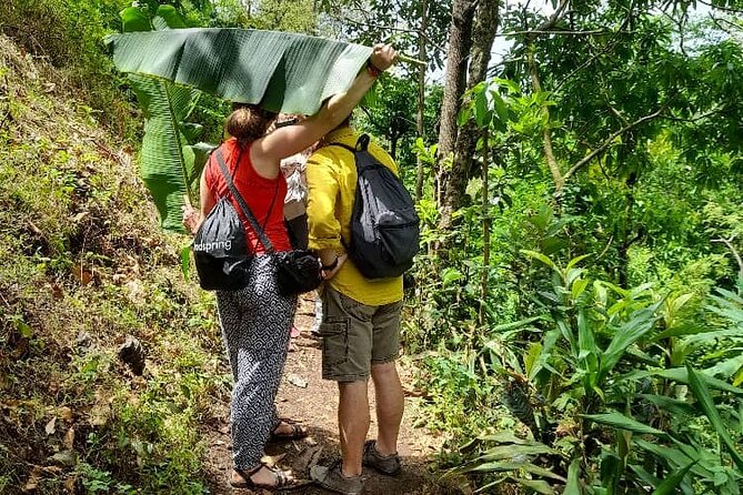 Materuni Waterfall and Kikuletwa Hot Spring Tour - From Moshi to Materuni fast: a local-feeling start