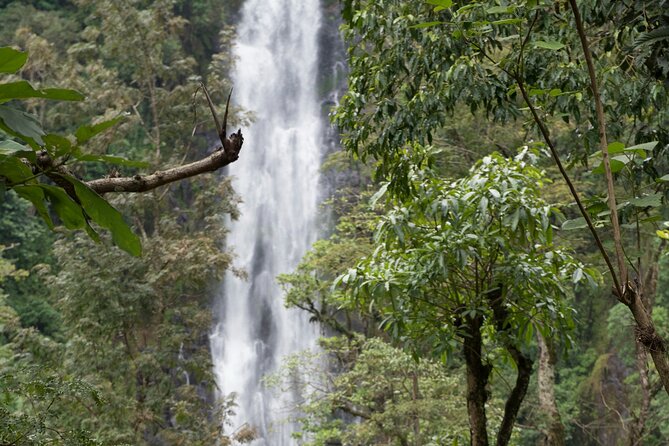 Materuni Waterfall and Kikuletwa Hot Spring Tour - Pickup, private transport, and feeling looked after