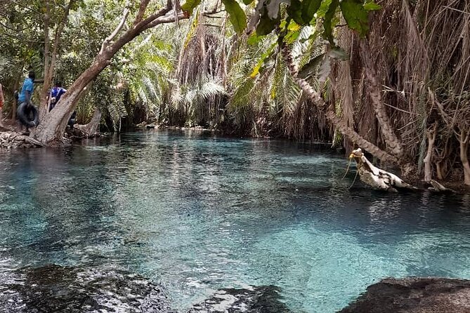 Materuni Waterfall and Kikuletwa Hot Spring Tour - Price and value: is $136 per person worth it?