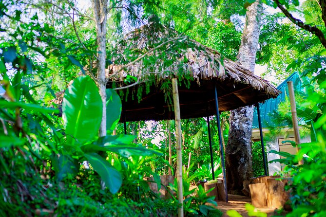 Materuni Waterfall and Kikuletwa Hot Spring Tour - Who this tour fits best, and who should pause first