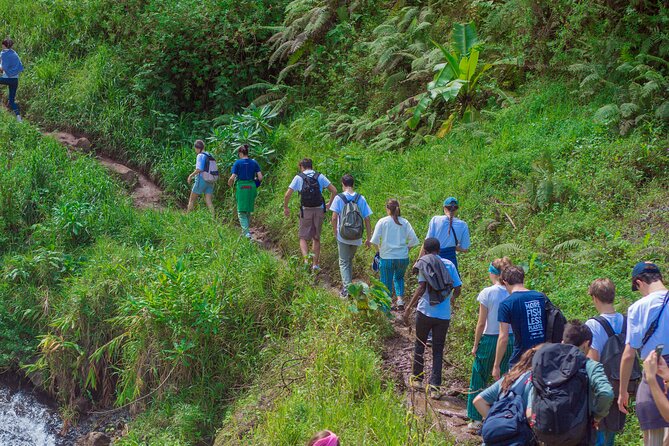 Materuni Waterfall and Kikuletwa Hot Spring Tour - Materuni Falls: the easy hike, the culture stories, and the swim