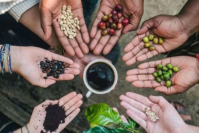 Materuni Waterfall Coffee Tour and Chemka Hot Springs Experience - Key Highlights You’ll Actually Feel