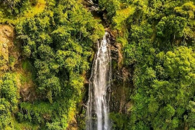Materuni Waterfall Coffee Tour and Chemka Hot Springs Experience - The Materuni and Chemka Day: What This 10-Hour Combo Really Delivers