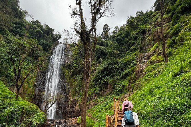 Materuni Waterfall Coffee Tour and Chemka Hot Springs Experience - Traditional Hot Lunch and Chagga Dance: The Cultural Heartbeat