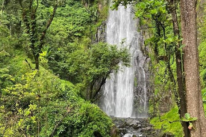 Materuni waterfall , coffee tour and hotsprings (chemka ) - Key Highlights You Should Actually Care About