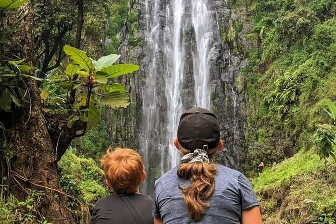 Materuni waterfall , coffee tour and hotsprings (chemka ) - A Full-Day Mix of Waterfall, Chagga Coffee, and Chemka Hot Springs