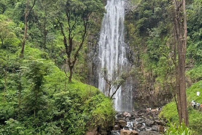 Materuni waterfall , coffee tour and hotsprings (chemka ) - Moshi Town Time: Market, Clock Tower, and Old Railway Station