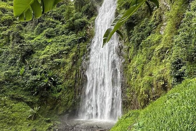 Materuni waterfall , coffee tour and hotsprings (chemka ) - The Rainforest Hike to Materuni Waterfall: Views, Swims, and Timing