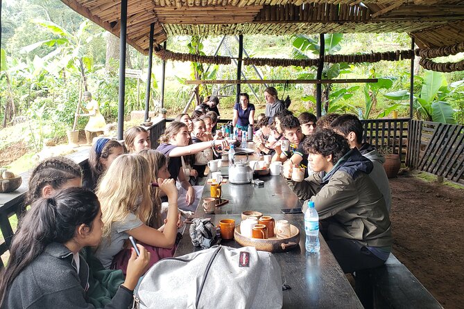 Materuni Waterfall, Coffee Tour and Picnic Hot Lunch - Lunch with local mamas: hot, filling, and timed right
