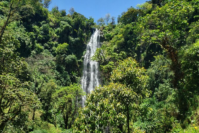 Materuni Waterfall, Coffee Tour and Picnic Hot Lunch - Stop One: Materuni Waterfalls, the hike in, the swim at the bottom