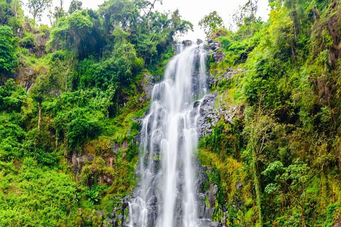 Materuni waterfall - coffee tour OR Chemka hot spring Tour - Quick hits for your Moshi day