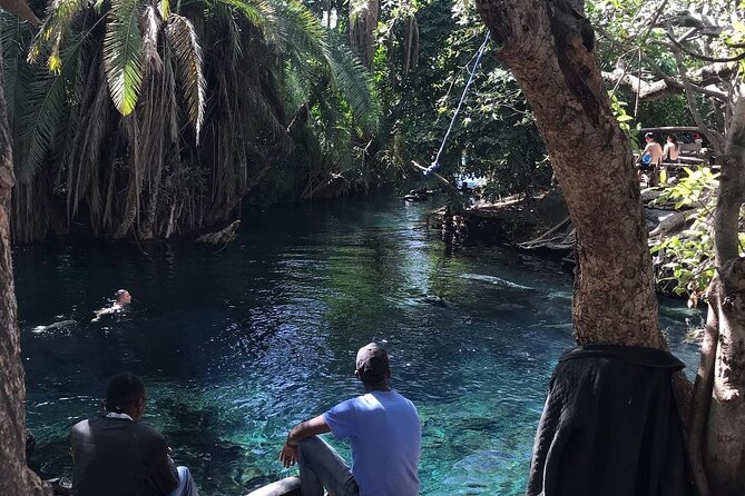Materuni waterfall - coffee tour OR Chemka hot spring Tour - Coffee tour in Materuni Village: pick, process, learn