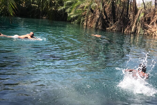 Materuni waterfall - coffee tour OR Chemka hot spring Tour - Elephants and Tarangire hints: plan for chances, not guarantees