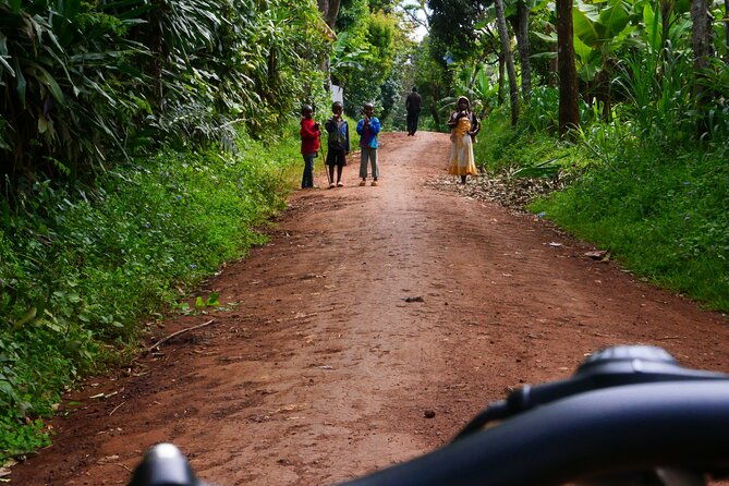 Materuni Waterfall E-Bike Day Trip - Price and value: what $140 buys you in the real world