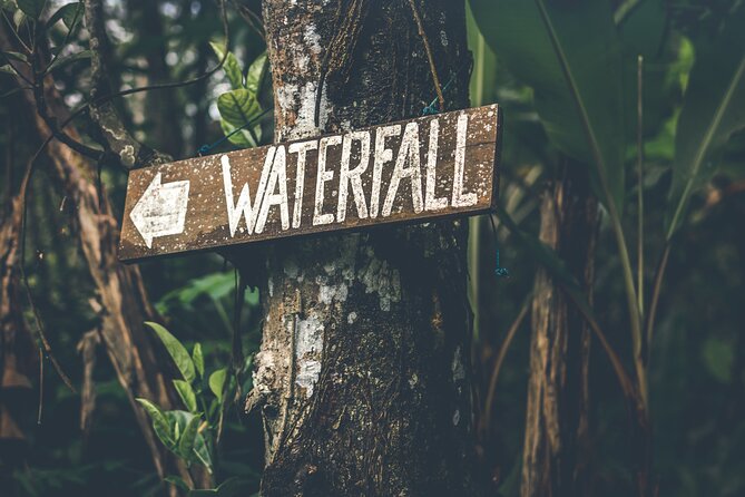 Materuni Waterfall Hike & Coffee Tour - Key Things I Think You’ll Care About