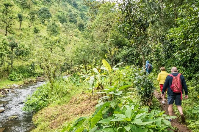 Materuni Waterfall Hike & Coffee Tour - Arusha Pickup, Clocktower Start, and Why This Tour Feels Efficient