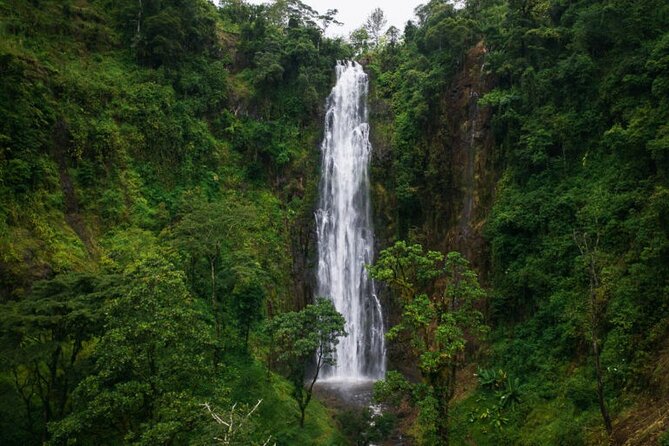 Materuni Waterfall Hike & Coffee Tour - The Practical Itinerary Rhythm: How the Morning to Afternoon Flows