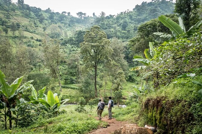 Materuni Waterfall Hike & Coffee Tour - Coffee With the Chaga: From Plantation Work to Your Cup