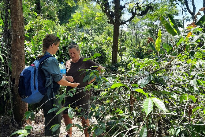 Materuni waterfalls and coffee Tour - The Chagga culture conversation: what you should listen for