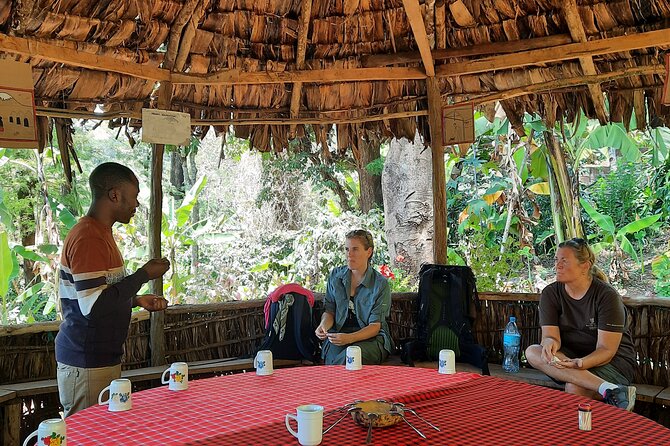 Materuni waterfalls and coffee Tour - The waterfall moment: cooling off and resetting your senses