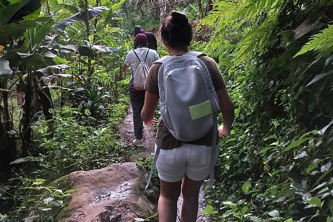 Materuni Waterfalls and Coffee Tour in Moshi - Chagga culture on the trail, not a lecture in a room
