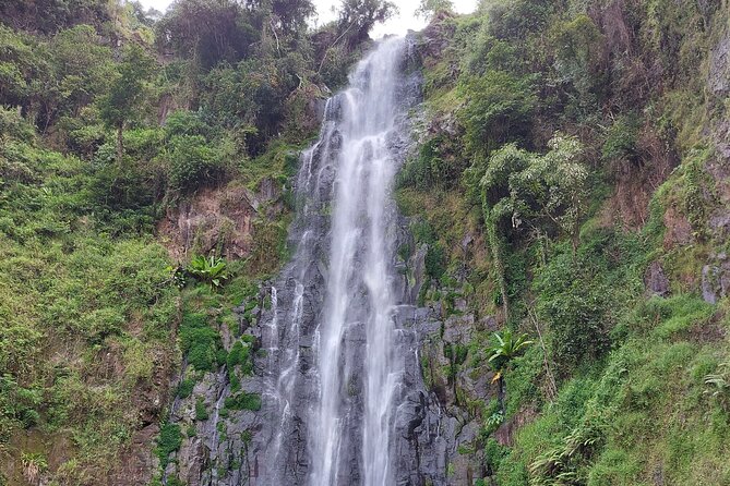 Materuni Waterfalls and Coffee Tour in Moshi - Should you book Materuni waterfalls and coffee tour in Moshi?