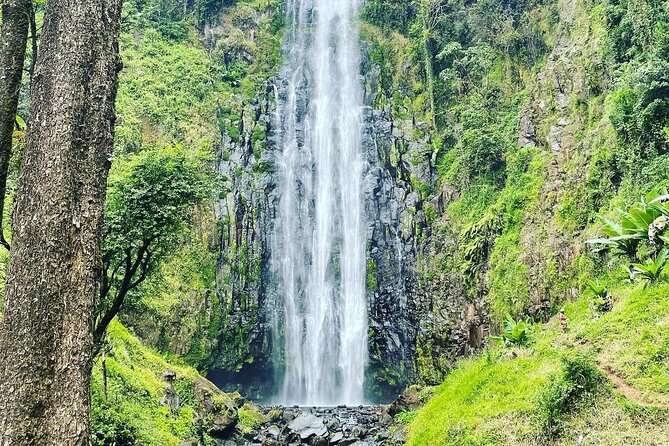 Materuni Waterfalls and Coffee Tour in Moshi - The coffee workshop that actually teaches you something