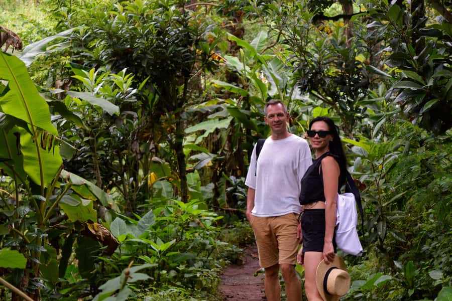 Materuni Waterfalls, Chemka Hot Springs, &/Or Coffee Tour - The Best Parts: Falls, Coffee, and Clear Hot Springs Water