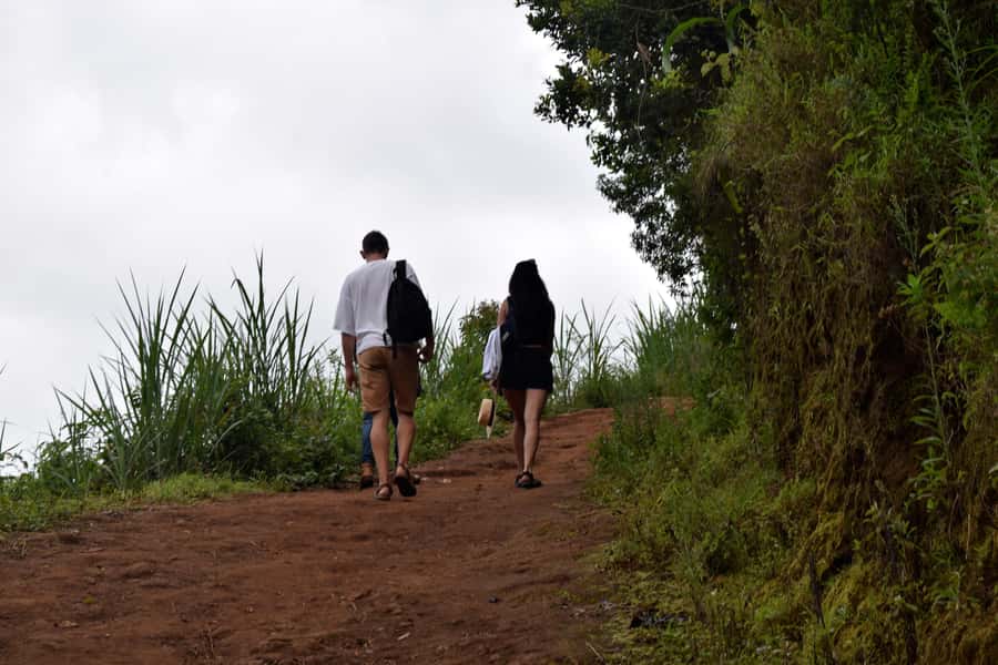 Materuni Waterfalls, Chemka Hot Springs, &/Or Coffee Tour - A Moshi or Arusha Day With Three Payoffs