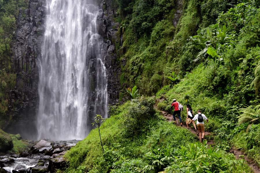 Materuni Waterfalls, Chemka Hot Springs, &/Or Coffee Tour - The Coffee Tour at Materuni Plantation: Roast Your Own Cup