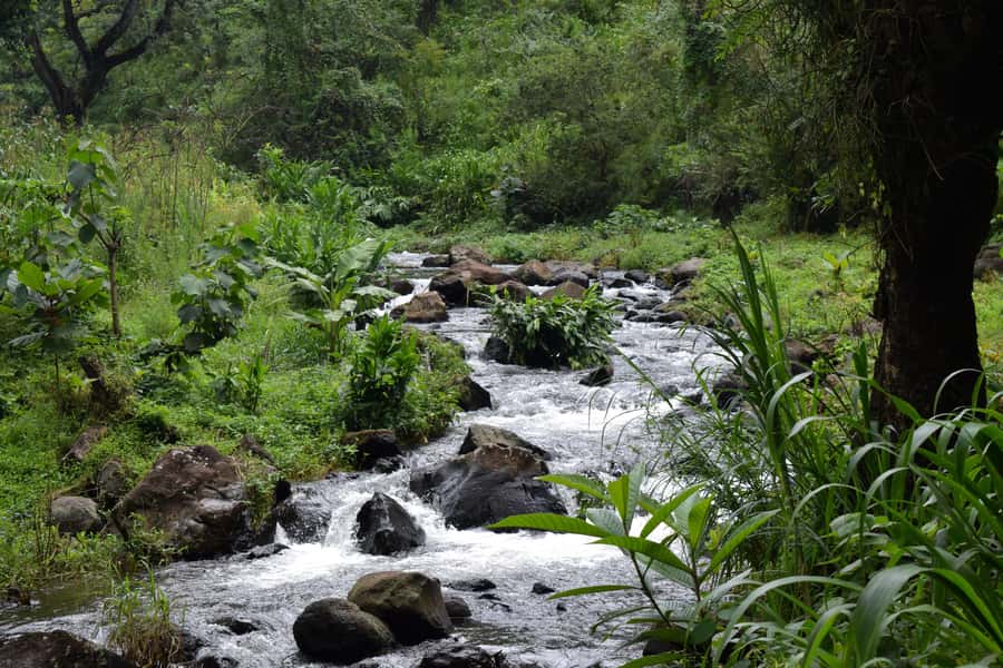 Materuni Waterfalls, Chemka Hot Springs, &/Or Coffee Tour - Guides and the Flow of the Day: Why People Leave Happy