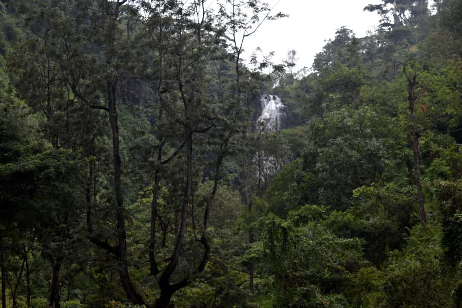 Materuni Waterfalls, Chemka Hot Springs, &/Or Coffee Tour - What to Bring (So the Water Stops Feel Easy)