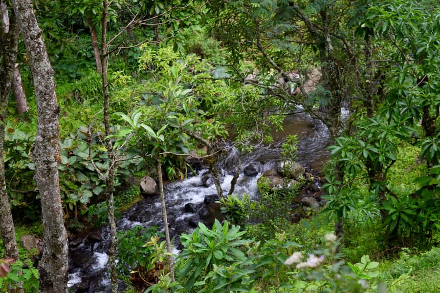 Materuni Waterfalls, Chemka Hot Springs, &/Or Coffee Tour - Price and Value: Is $70 a Good Deal?