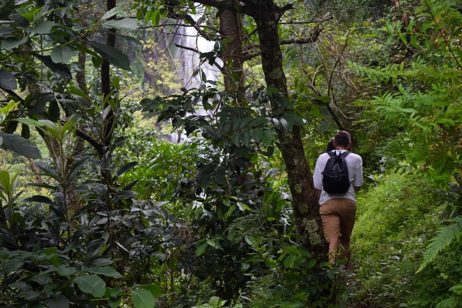 Materuni Waterfalls, Chemka Hot Springs, &/Or Coffee Tour - Who This Trip Fits Best