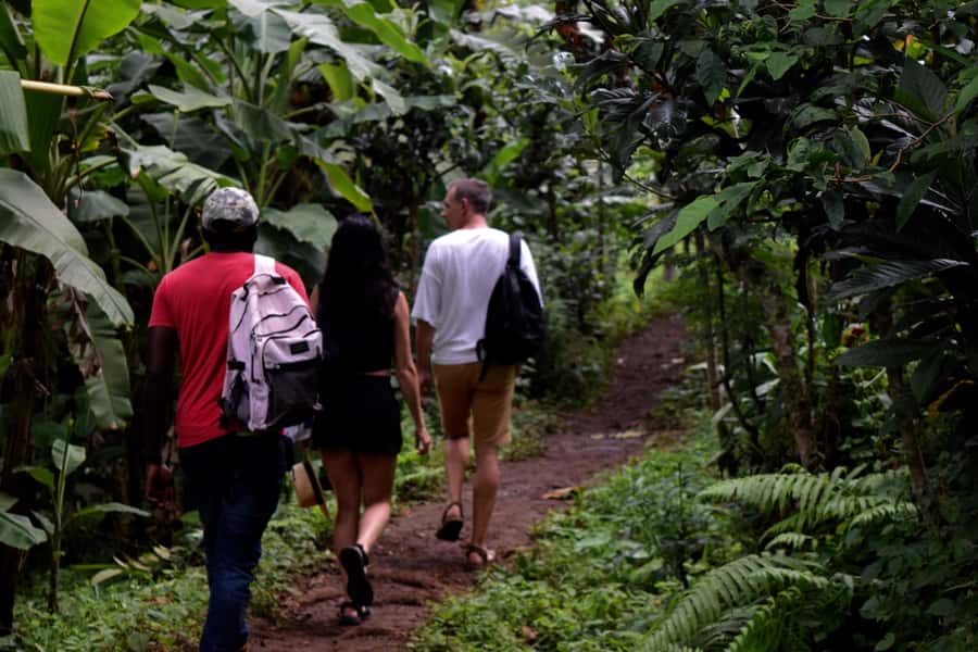 Materuni Waterfalls, Chemka Hot Springs, &/Or Coffee Tour - Materuni Village and Materuni Falls: Where the Hike Ends in Swimming