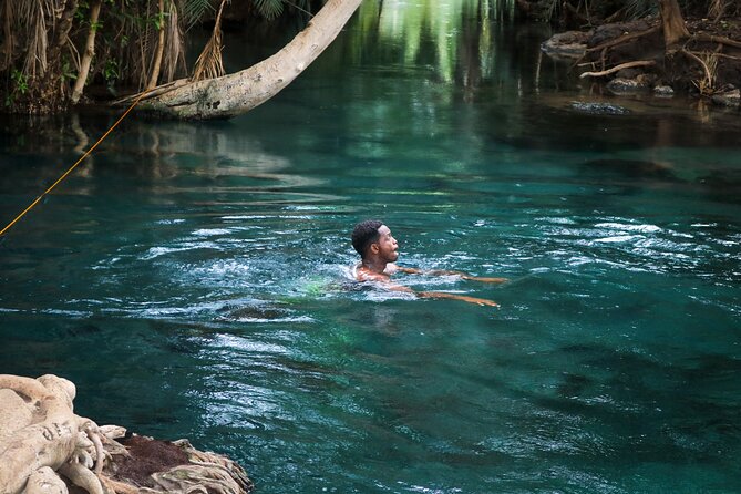 MATERUNI waterfalls, coffe tour & kikuletwa hotsprings - Materuni Waterfalls: a short hike with real payoff near Arusha