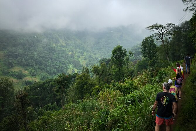 MATERUNI waterfalls, coffe tour & kikuletwa hotsprings - Price and value at $150 per person: what you’re really paying for