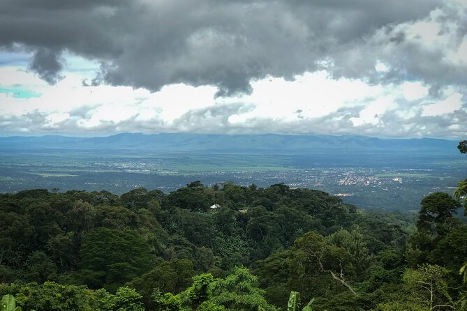MATERUNI waterfalls, coffe tour & kikuletwa hotsprings - What to expect at each stop, time-wise and energy-wise