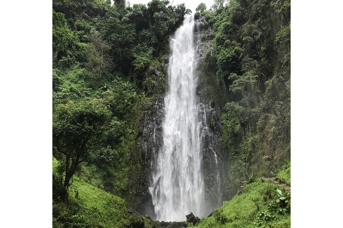MATERUNI waterfalls, coffe tour & kikuletwa hotsprings - Guides and the tone of the day: why the human part matters