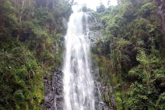 Materuni Waterfalls & Coffee making Cultural Tour | BURIGI CHATO SAFARIS LTD - Getting There from Arusha: The 8:30am Start and Smooth Return