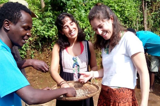 Materuni Waterfalls & Coffee making Cultural Tour | BURIGI CHATO SAFARIS LTD - Materuni Waterfalls: Tall Cascades, Forest Feel, and Big Views