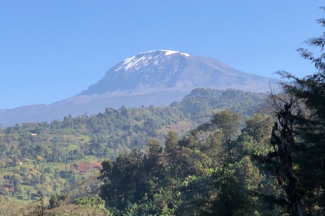 Materuni Waterfalls & Coffee Tour - Price and logistics: what $90 buys you in real terms