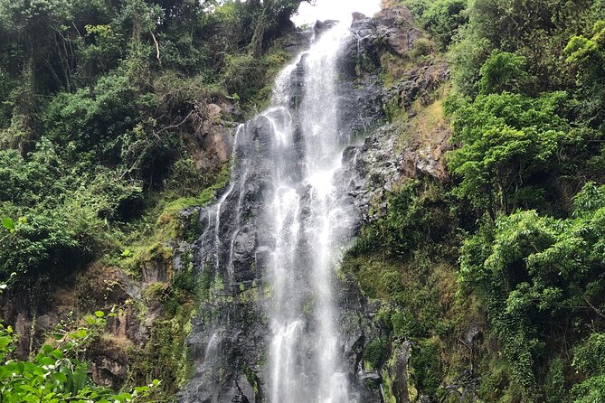 Materuni waterfalls coffee tour & Chemka hot springs Day trip - Kikuletwa hot springs: warm water swim and nature-pool vibes