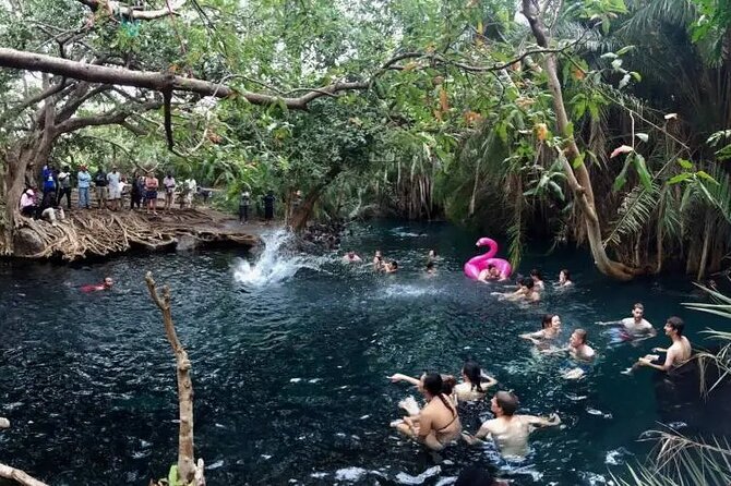 Materuni waterfalls coffee tour & Chemka hot springs Day trip - Getting there: pickup, group size, and the bumpy-road reality
