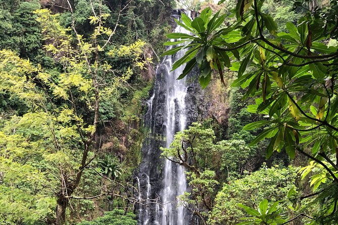 Materuni waterfalls coffee tour & Chemka hot springs Day trip - Tips that make a real difference on this specific day