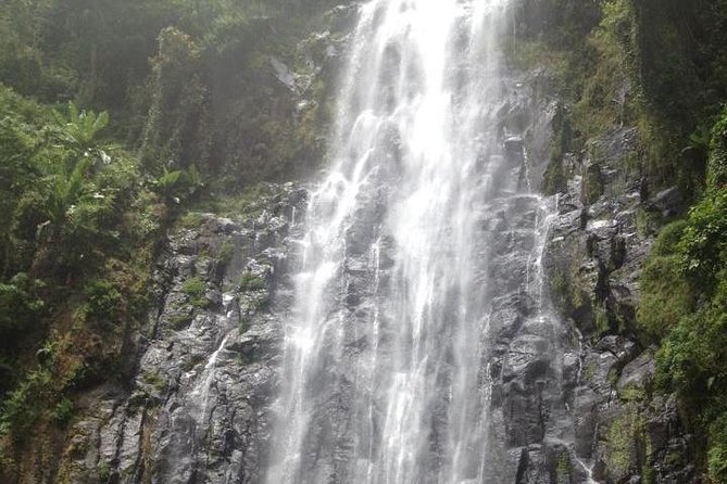 Materuni Waterfalls & Coffee Tour from Moshi - Key things I’d mark as must-knows