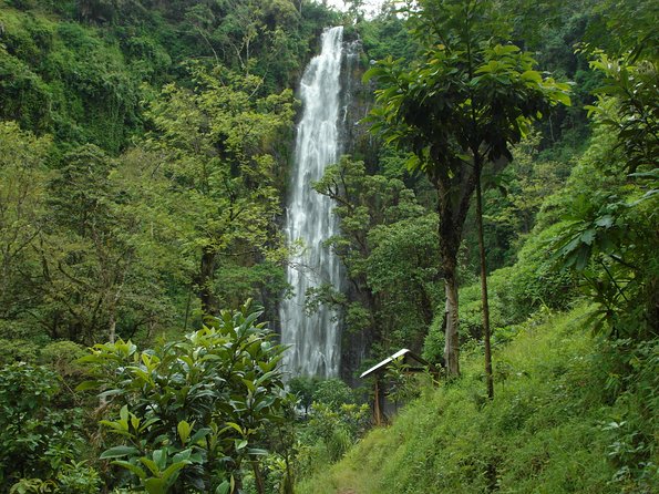 Materuni Waterfalls & Coffee Tour from Moshi - How the day is paced, starting from your Moshi hotel