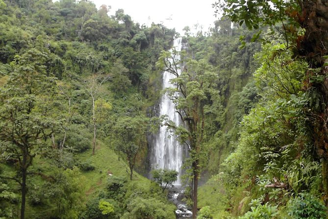 Materuni Waterfalls & Coffee Tour from Moshi - The hike to Materuni: short, scenic, and worth packing for