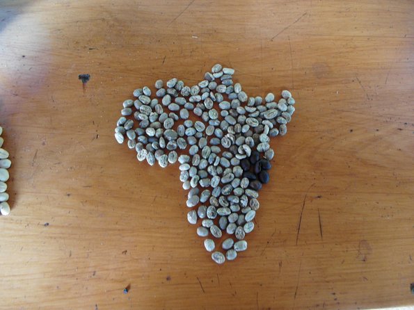 Materuni Waterfalls & Coffee Tour from Moshi - Lunch and entry costs included: where the value shows