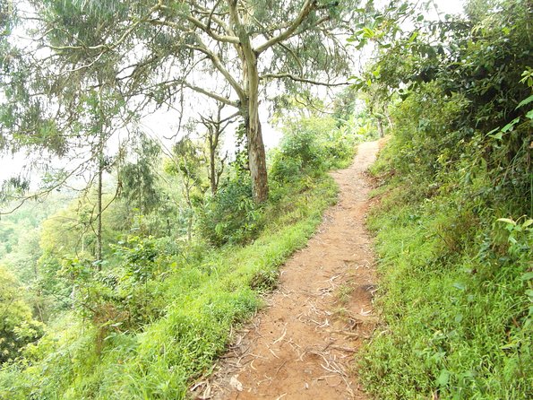 Materuni Waterfalls & Coffee Tour from Moshi - Price and group size: what $60 really buys